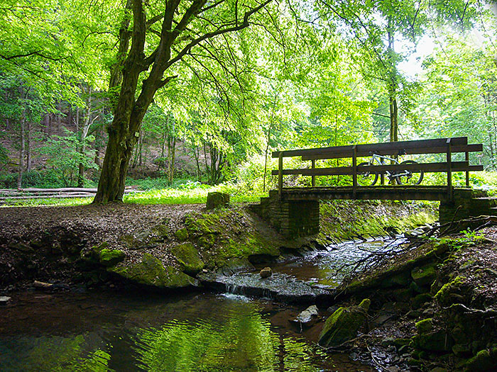Brücke über den Feldrennacher Bach
