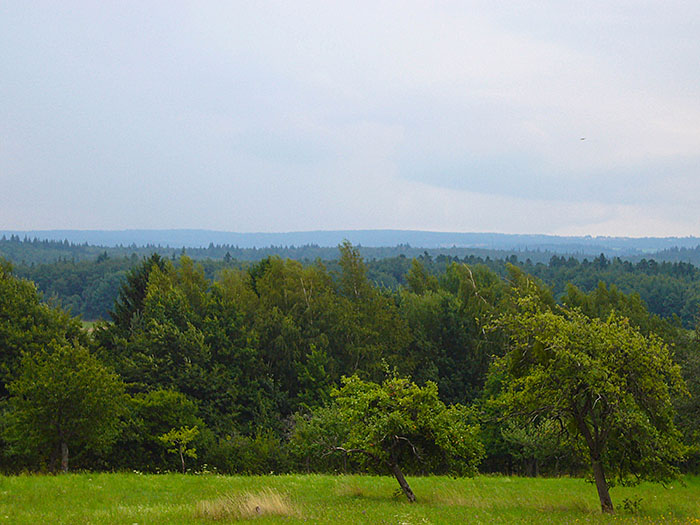 Bei Völkersbach donnert es, dunkle Wolken türmen sich auf