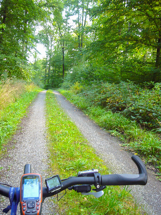 Durch den Wald nach Söllingen