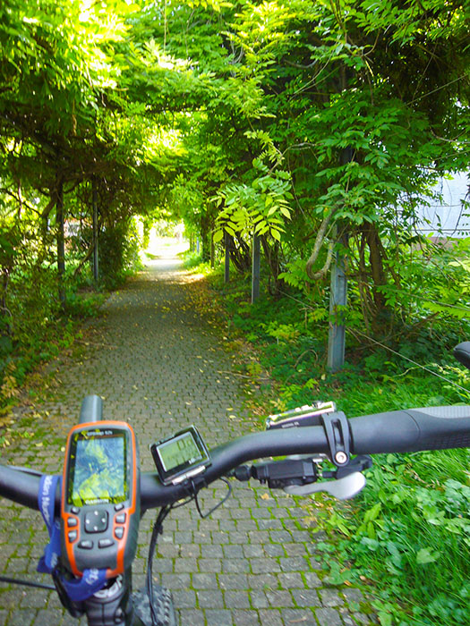 Laubenweg in Söllingen