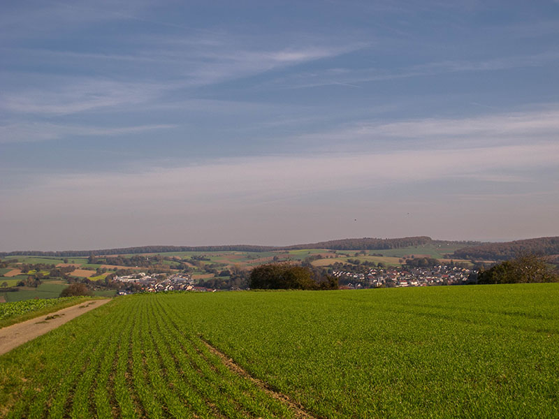 Blick vom Heuberg Richtung Jöhlingen