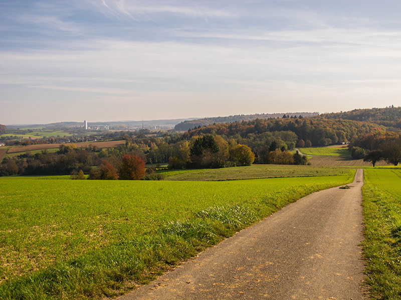 Abfahrt zum Prinzhölzle