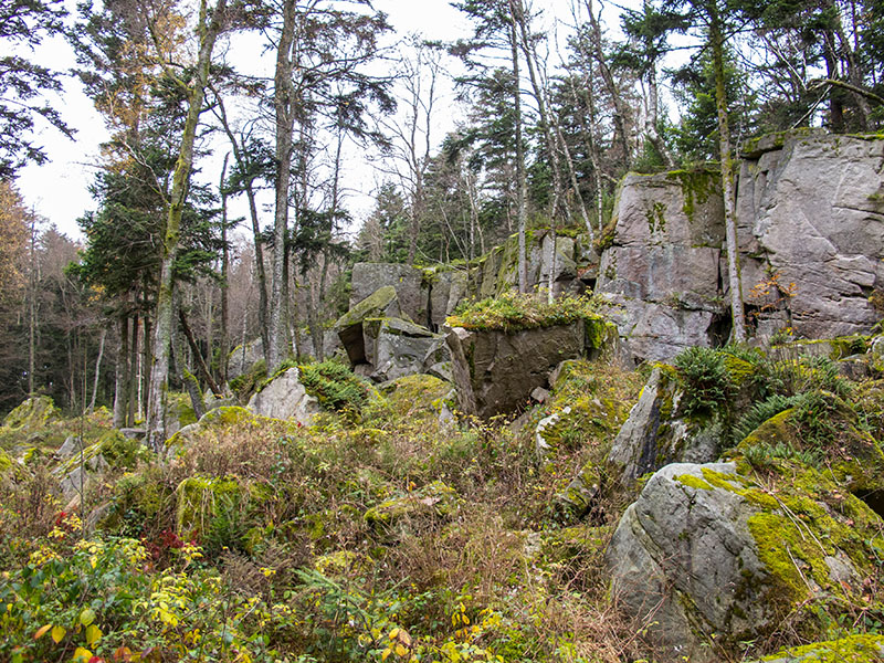 Am Volzemer Stein