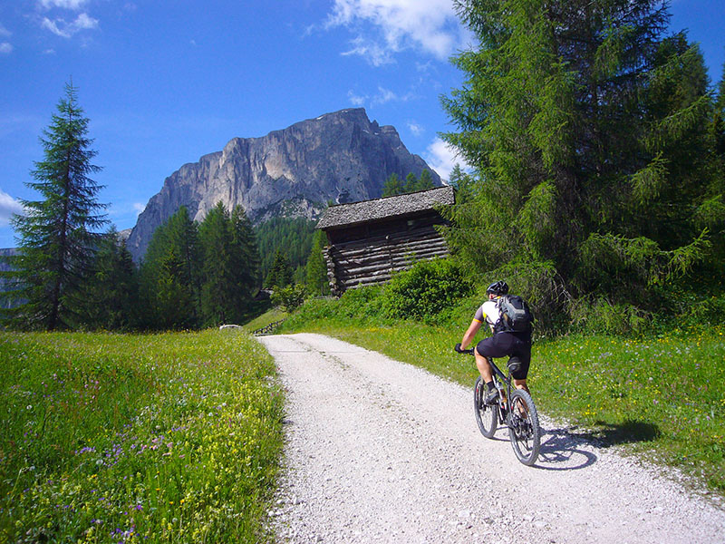Ab und zu steht eine Hütte am Weg ...