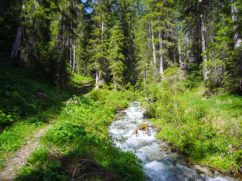Kalter Bach