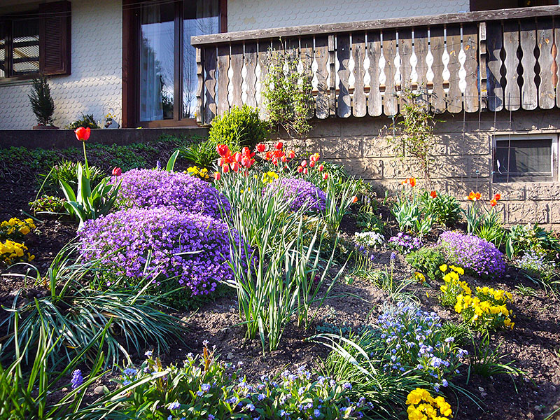 Blumenpracht vor dem Haus