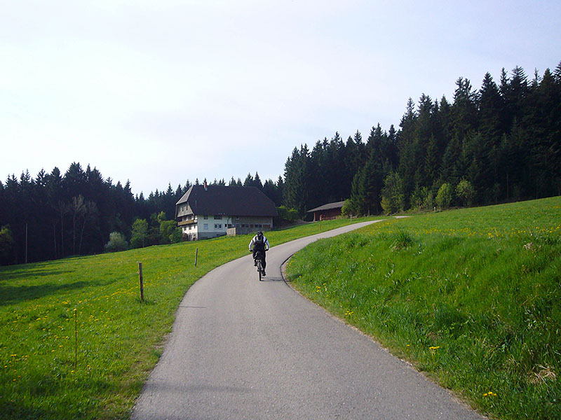Schwarzwaldhof voraus