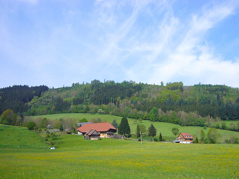 ... säumen den Weg durch's Tal
