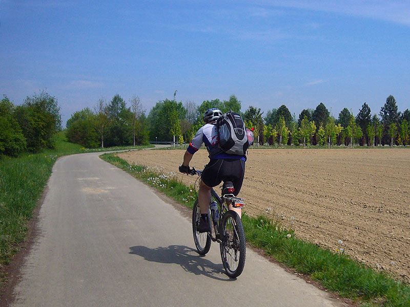 Auf dem Wald-Reben-Seen Radweg