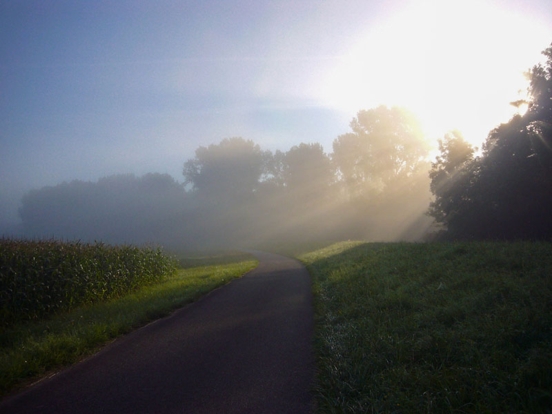 Herbststimmung