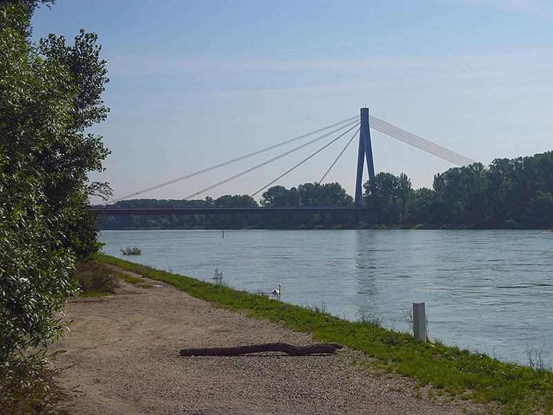 Schrägseilbrücke über den Rhein