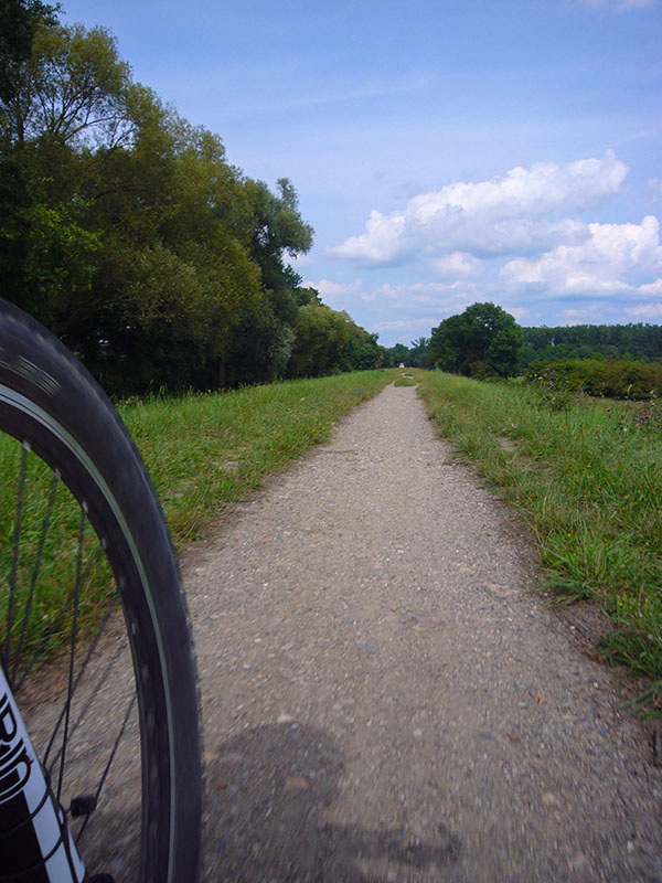 Auf dem Rheindamm