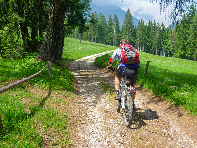Schöner Weg durch Wiesen und Wälder ...