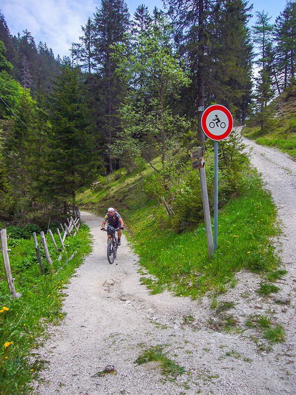 Gleich haben wir die Straße erreicht