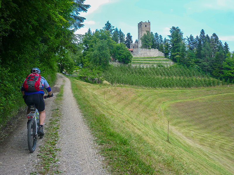 An der Zwingenburg