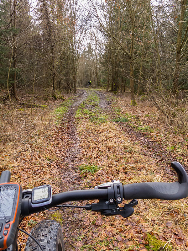 Dort hinten wühlt sich gerade ein anderer Mountainbiker durch den Sulch