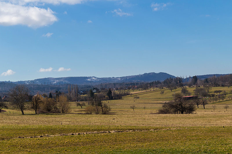 Die letzten Schneereste auf den (Nord-)Schwarzwaldhöhen