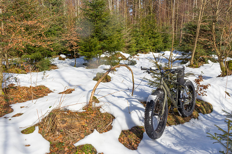 Der letzte Schnee
