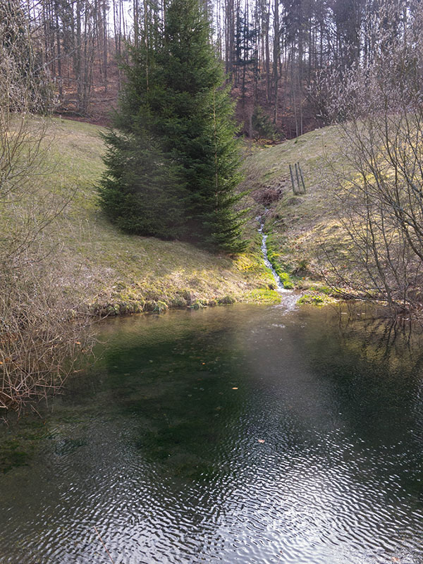 Am Albursprung