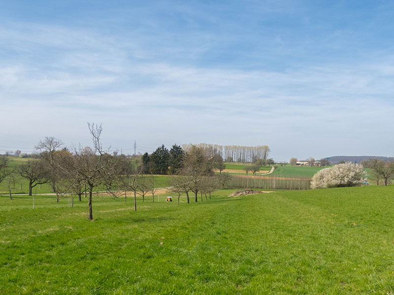 Endlich mal richtiges frühlingshaftes Wetter