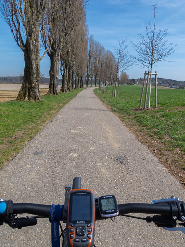 Auf der Pappelallee zum Thomashof