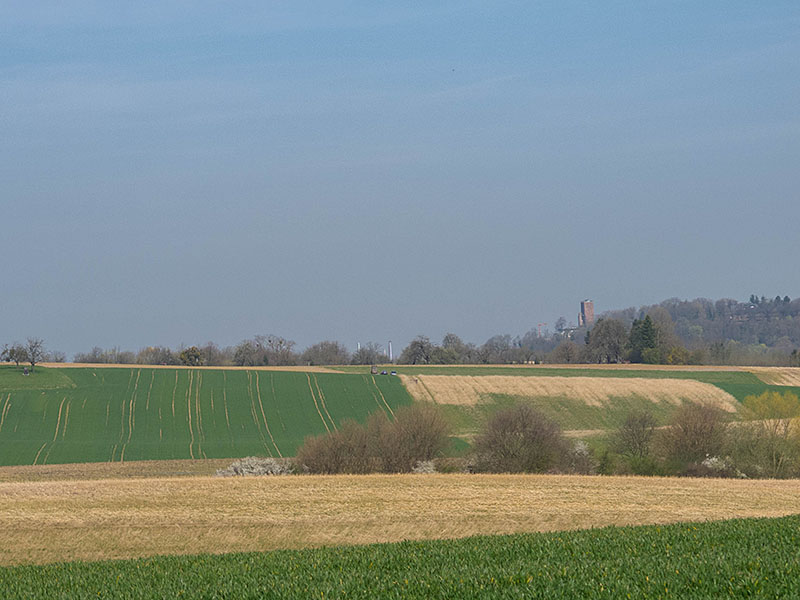 Im Hintergrund grüßt der Turmberg