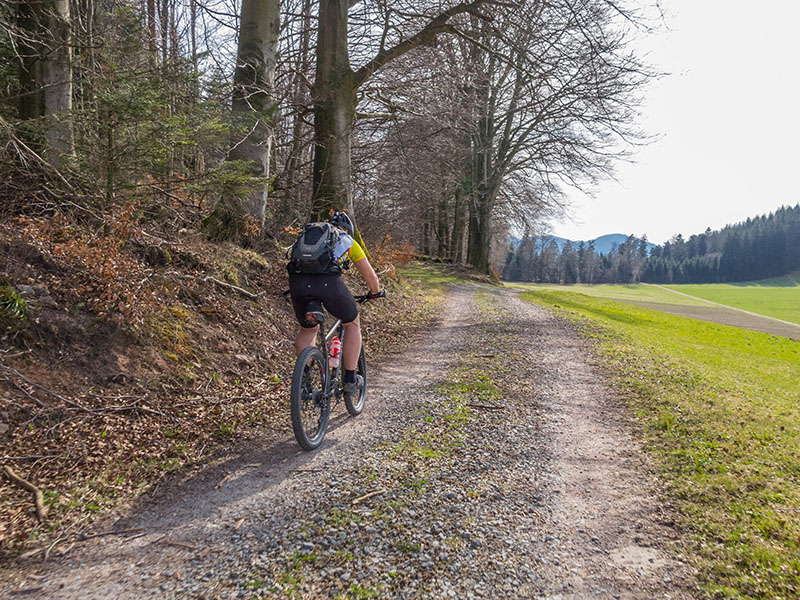 Waldweg zum Mahlberg