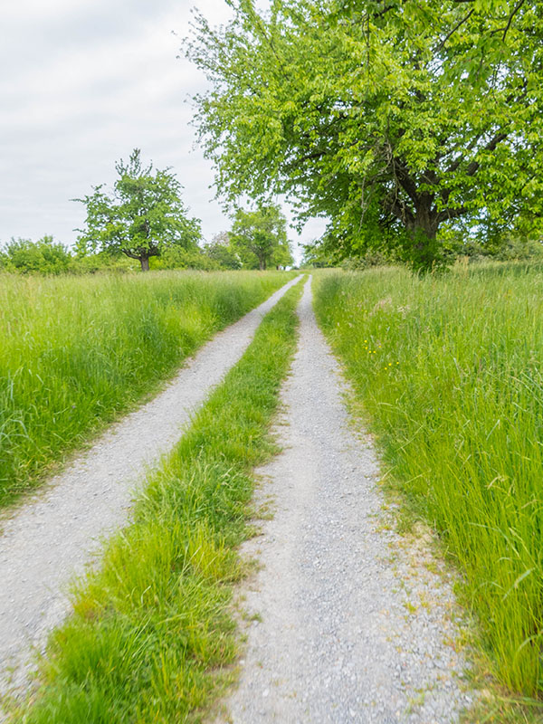 Zuerst sieht der Weg ja ganz gut aus ...