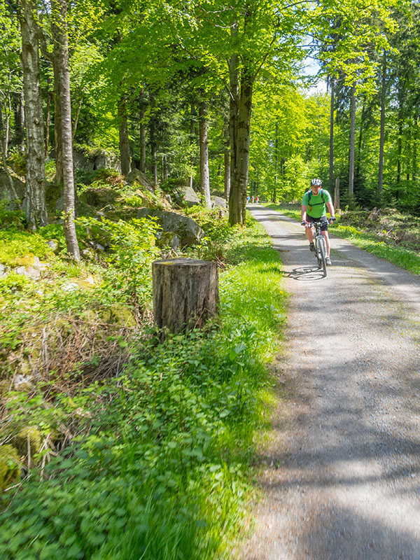 Noch ein Stück durch den Wald ...