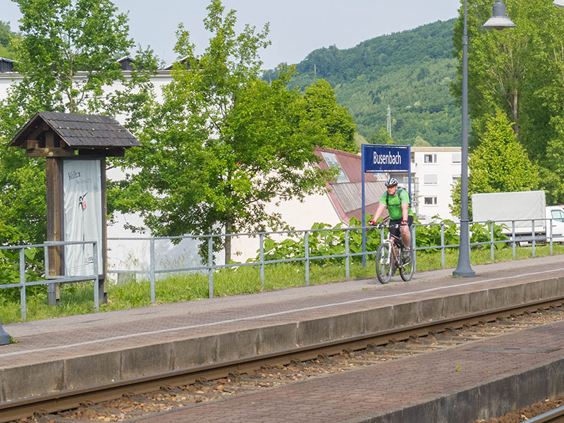 Waldi kommt zum Treffpunkt ...