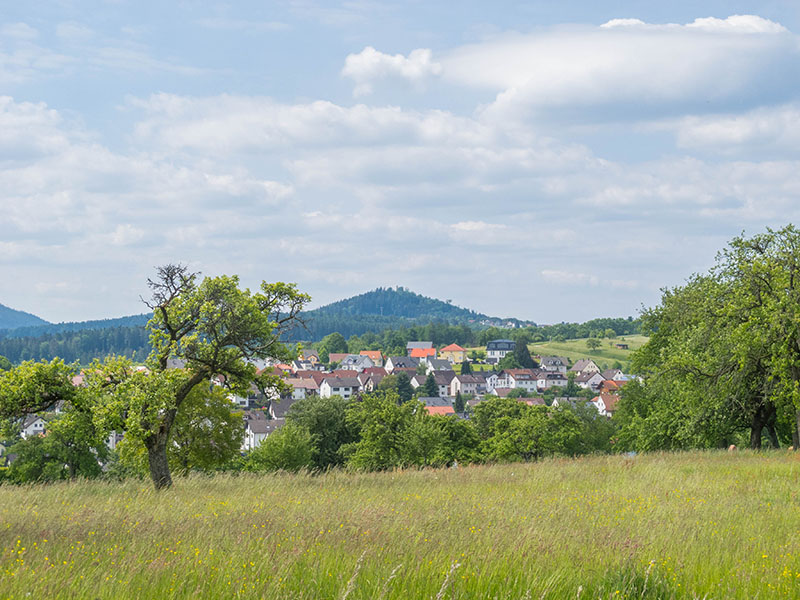 Am Horizont wartet der Mahlberg - aber heute nicht auf uns ;-)