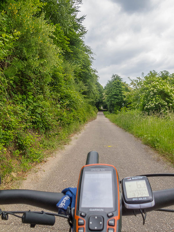 Auf dem Heimweg gebe ich mir noch die Steigung des Vogelruhwegs ...
