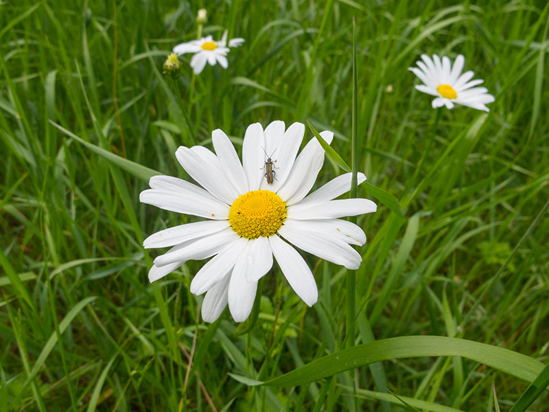 Wenn man alleine unterwegs ist, hat man mehr Zeit die Natur zu genießen