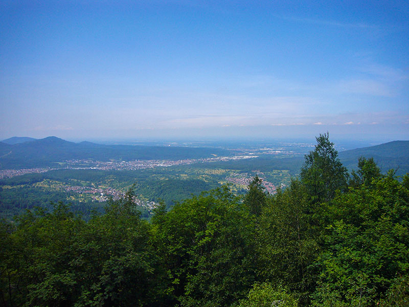 Fernblick