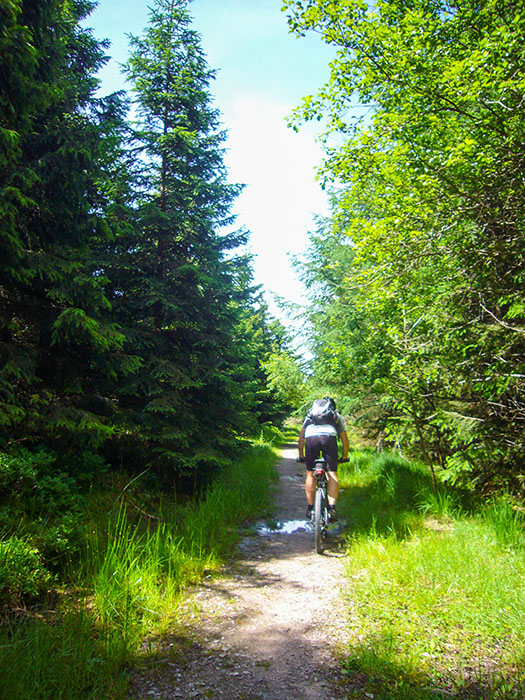 Abfahrt ins Tal