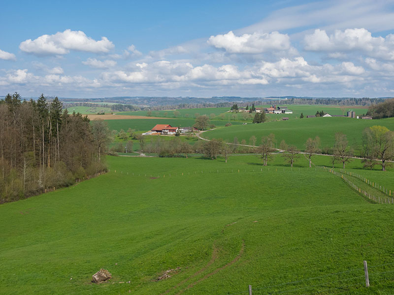 Blick Richtung Rüetisberg