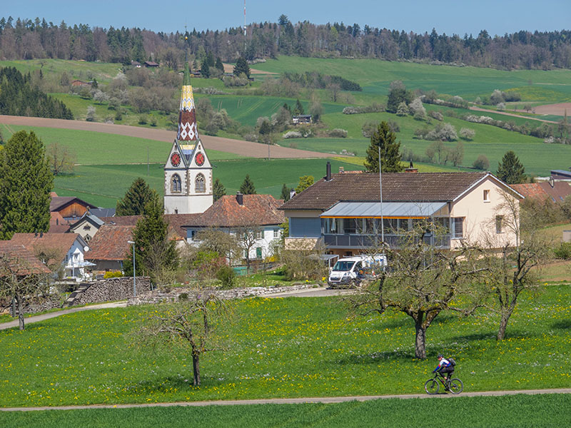Schaffhausen 2015