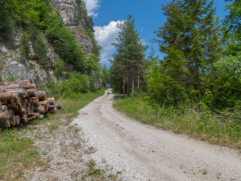 So mäandert der Weg immer weiter nach oben