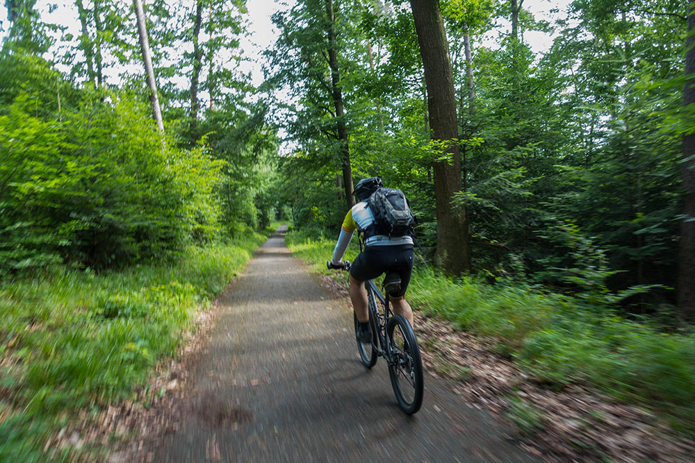 Durch den grünen Wald