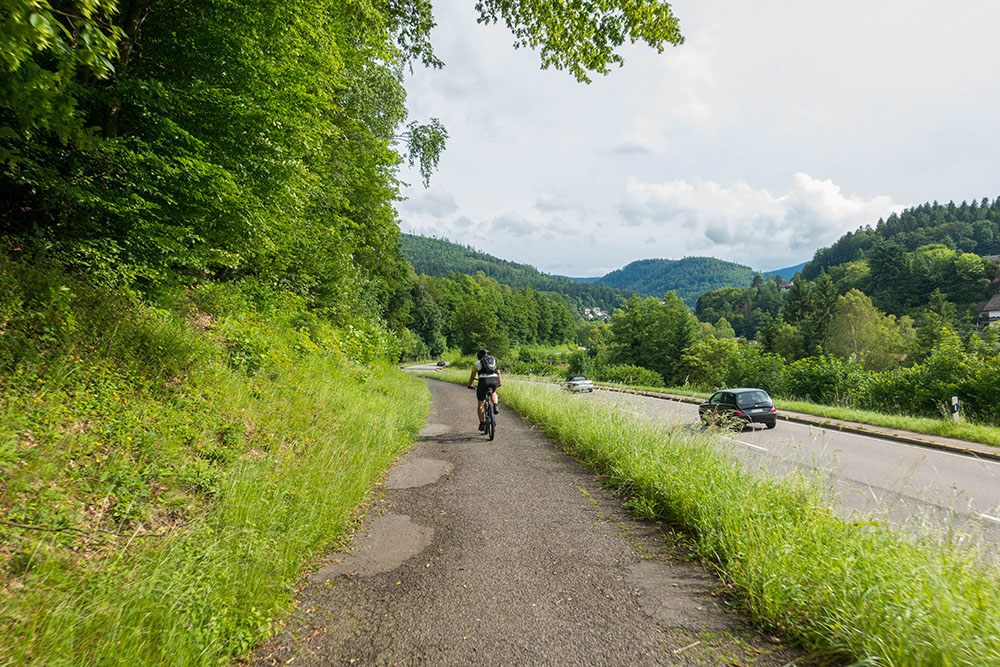 Nordschwarzwald 2016