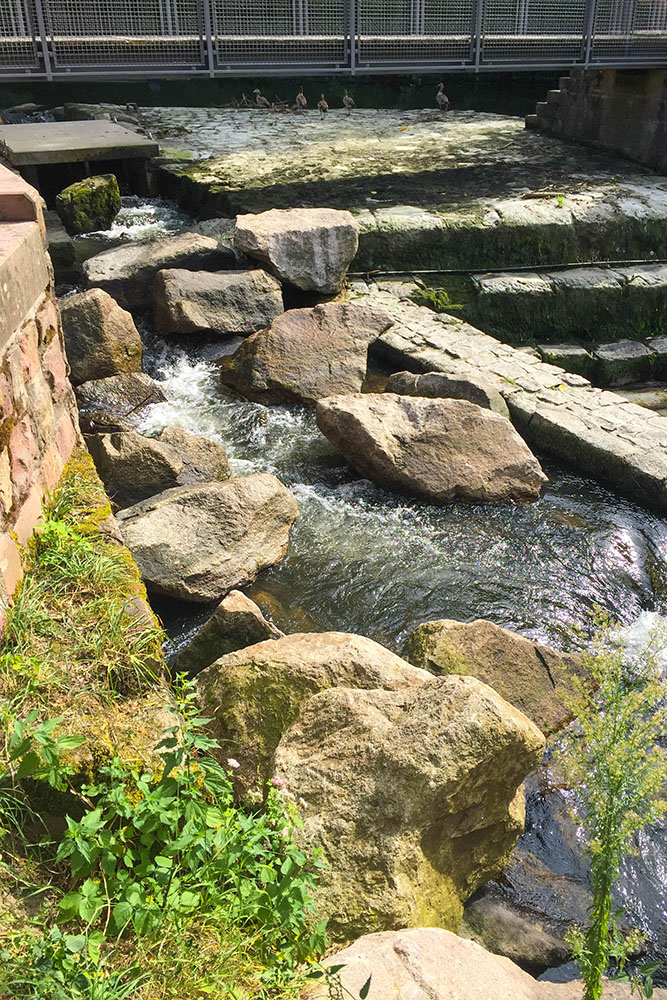 Fischtreppe