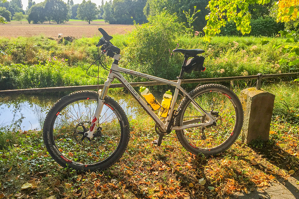 Obwohl es erst August ist, sieht es schon etwas herbstlich aus