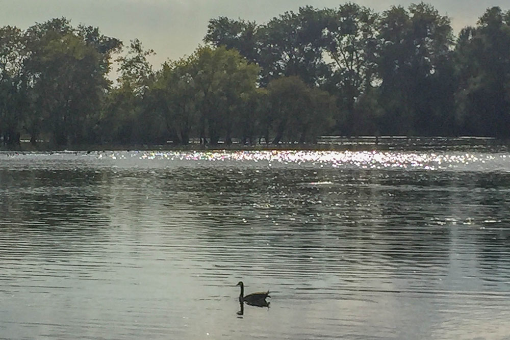 Am Knielinger See