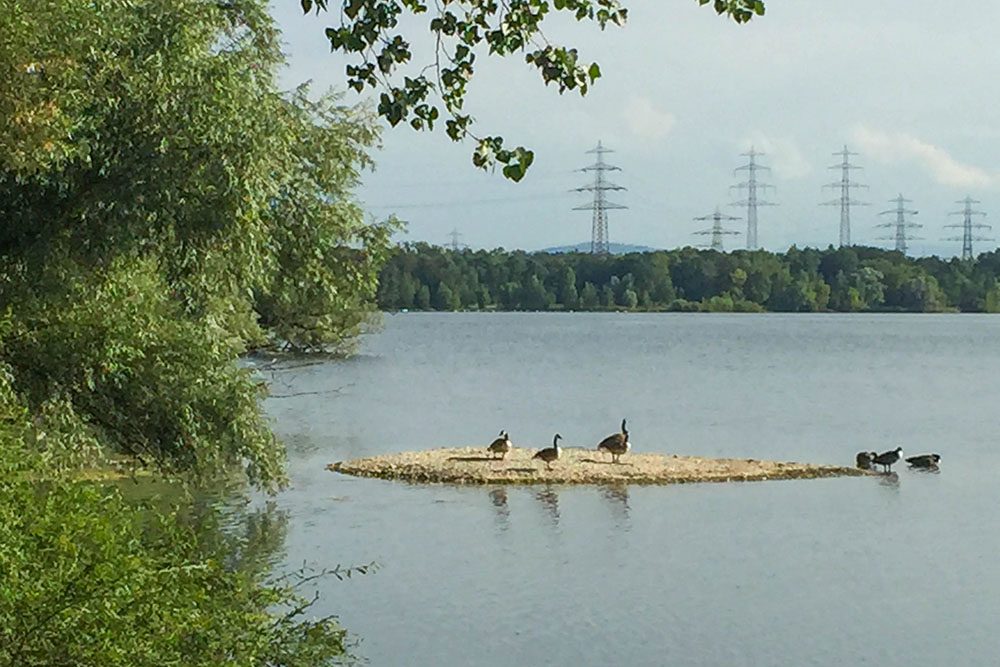 Am Knielinger See