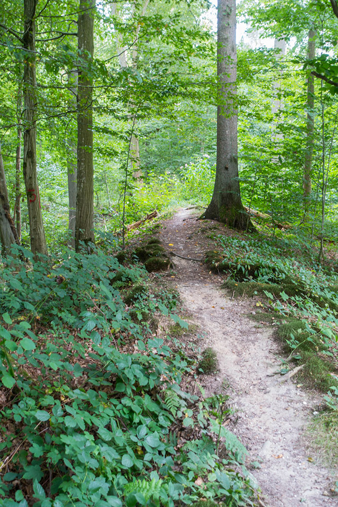 In Frankreich singletrailt es wieder ;-)