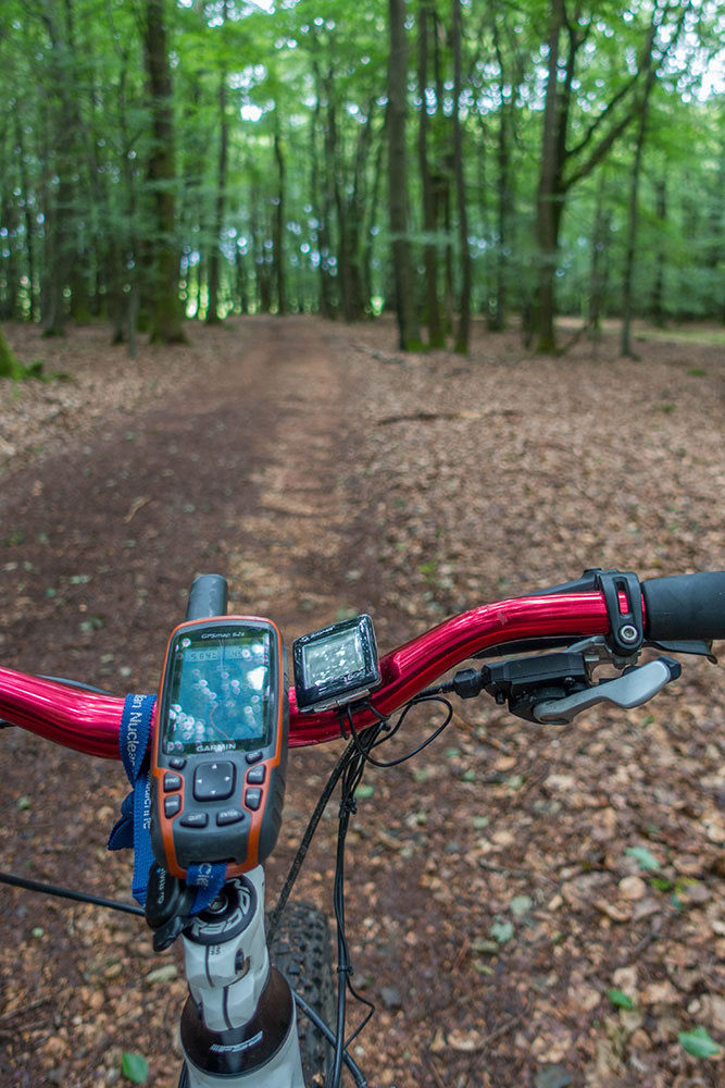 Endlich geht es in den Wald