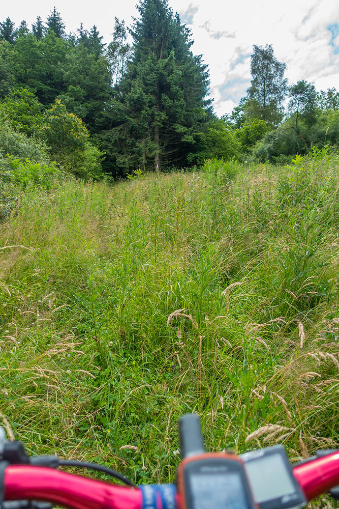 Wo ist der Weg hin? Die Zecken freuen sich :-(