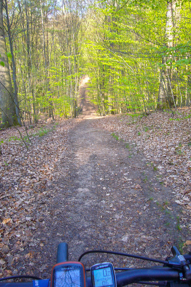 Waldautobahn