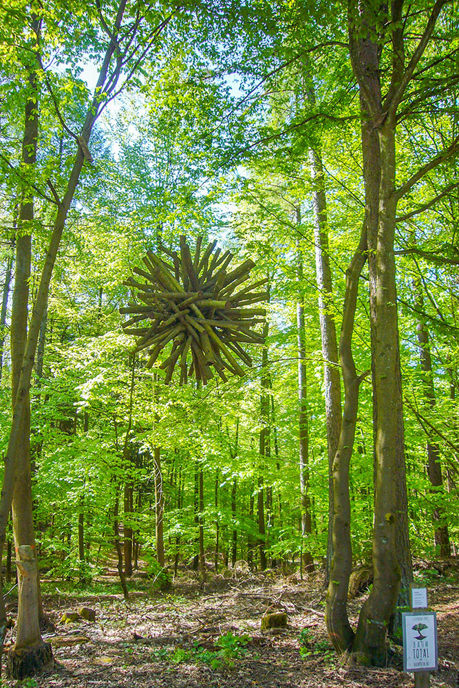 Kunst im Wald