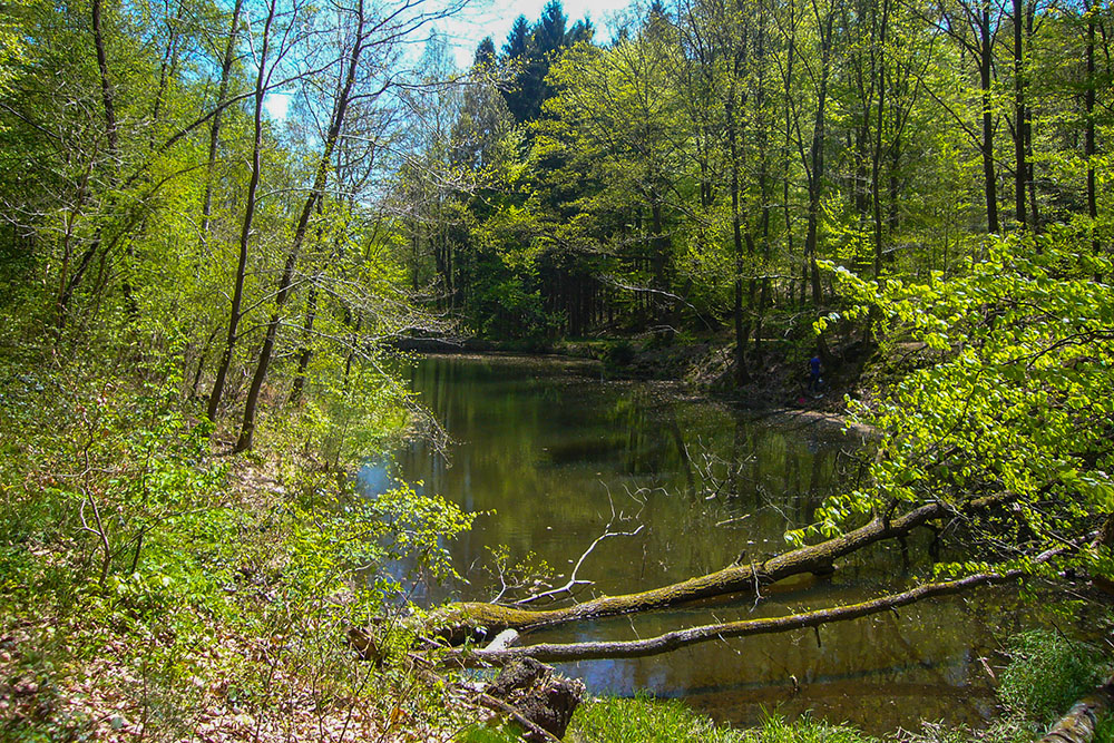 Auf dem Rückweg geht es wieder am versteckten Teich vorbei